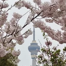 北京旅游 缩略图 6