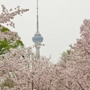 北京旅游 缩略图 2