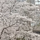北京旅游 缩略图 5