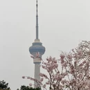 北京旅游 缩略图 9