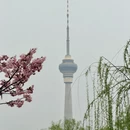 北京旅游 缩略图 8