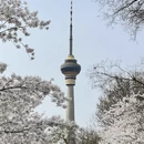北京旅游 缩略图 3