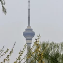 北京旅游 缩略图 12