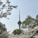 北京旅游 缩略图 1