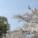 北京旅游 缩略图 4