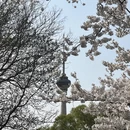 北京旅游 缩略图 2
