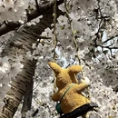 北京旅游 缩略图 9