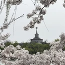 北京旅游 缩略图 15