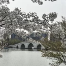 北京旅游 缩略图 13