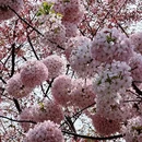 北京旅游 缩略图 11