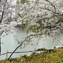 北京旅游 缩略图 14