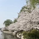 北京旅游 缩略图 18