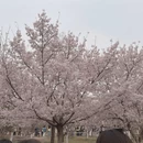 北京旅游 缩略图 4