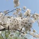 北京旅游 缩略图 2