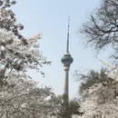 北京旅游 缩略图 8