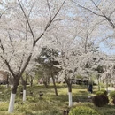 北京旅游 缩略图 1