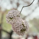 北京旅游 缩略图 9