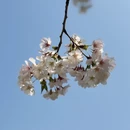 北京旅游 缩略图 7