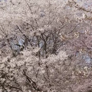北京旅游 缩略图 5
