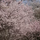 北京旅游 缩略图 4