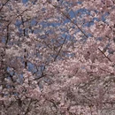 北京旅游 缩略图 11