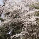 北京旅游 缩略图 16