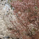 北京旅游 缩略图 6