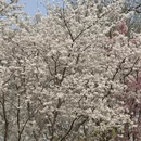 北京旅游 缩略图 16