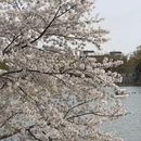 北京旅游 缩略图 15