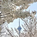 北京旅游 缩略图 1
