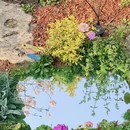 北京旅游 缩略图 5