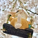 北京旅游 缩略图 2