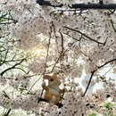 北京旅游 缩略图 3
