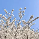 北京旅游 缩略图 7