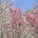 北京旅游 缩略图 9