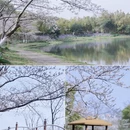 上海旅游 缩略图 13