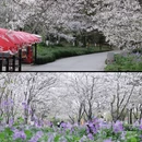 上海旅游 缩略图 14