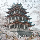 无锡旅游 缩略图 4