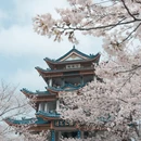 无锡旅游 缩略图 3