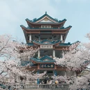 无锡旅游 缩略图 5
