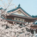 无锡旅游 缩略图 6