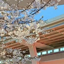 上海旅游 缩略图 3