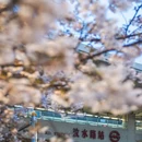 上海旅游 缩略图 7