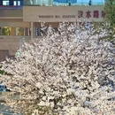 上海旅游 缩略图 2