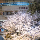 上海旅游 缩略图 15