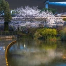 上海旅游 缩略图 17