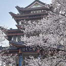 无锡旅游 缩略图 1