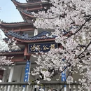 无锡旅游 缩略图 2