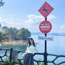 黄山旅游 缩略图 4