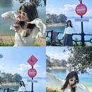 黄山旅游 缩略图 5
